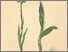 [thumbnail of 12331_1.png]