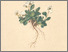 [thumbnail of 11690_1.png]