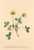 [thumbnail of 11766_1.png]