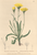 [thumbnail of 11931_1.png]