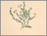 [thumbnail of 11749_1.png]