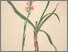 [thumbnail of 12333_1.png]