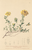 [thumbnail of 11697_1.png]