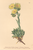 [thumbnail of 11812_1.png]