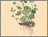 [thumbnail of 11844_1.png]