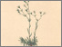 [thumbnail of 11832_1.png]