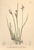 [thumbnail of 12354_1.png]