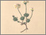 [thumbnail of 12285_1.png]
