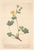 [thumbnail of 11792_1.png]