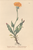 [thumbnail of 11935_1.png]