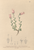 [thumbnail of 11948_1.png]
