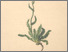 [thumbnail of 11890_1.png]