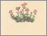 [thumbnail of 11843_1.png]