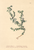 [thumbnail of 11750_1.png]