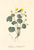 [thumbnail of 11722_1.png]
