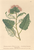 [thumbnail of 11908_1.png]