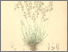 [thumbnail of 12369_1.png]