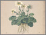 [thumbnail of 11667_1.png]