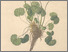 [thumbnail of 12312_1.png]