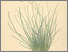 [thumbnail of 12371_1.png]