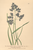 [thumbnail of 12378_1.png]