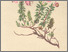[thumbnail of 11957_1.png]