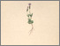 [thumbnail of 11970_1.png]