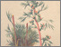 [thumbnail of 11885_1.png]