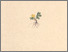 [thumbnail of 11671_1.png]