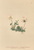[thumbnail of 12286_1.png]