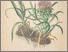 [thumbnail of 11907_1.png]