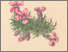 [thumbnail of 11734_1.png]