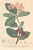 [thumbnail of 11802_1.png]