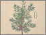 [thumbnail of 12327_1.png]