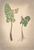 [thumbnail of 12385_1.png]