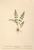 [thumbnail of 12386_1.png]