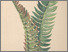 [thumbnail of 12387_1.png]