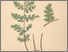 [thumbnail of 12388_1.png]