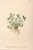 [thumbnail of 12389_1.png]
