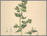 [thumbnail of 11998_1.png]