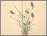 [thumbnail of 12358_1.png]