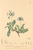 [thumbnail of 11779_1.png]
