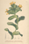 [thumbnail of 11985_1.png]