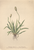 [thumbnail of 12307_1.png]