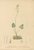[thumbnail of 11650_1.png]