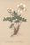 [thumbnail of 11655_1.png]