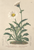 [thumbnail of 11893_1.png]