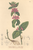 [thumbnail of 12273_1.png]