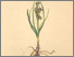 [thumbnail of 12336_1.png]