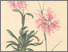 [thumbnail of 11731_1.png]